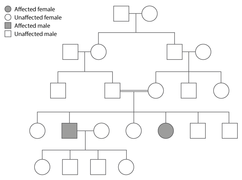 Autosomal Recessive Inheritance — Knowledge Hub