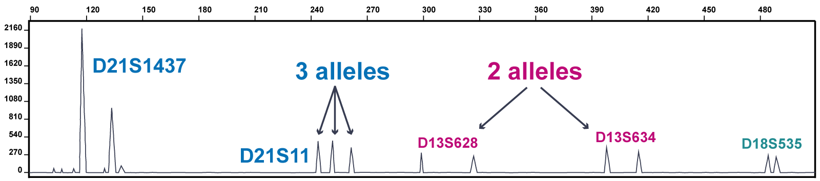 Common Aneuploidy Testing QF PCR Knowledge Hub
